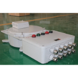 领先防爆配电箱厂家精选-浙江新黎明照明股份有限公司