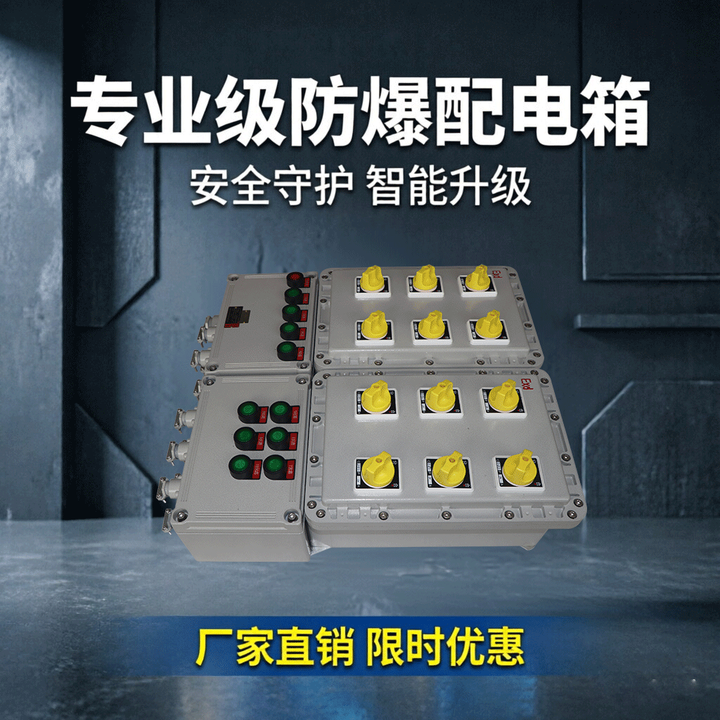 专业防爆配电箱厂家：筑牢工业用电的安全防线-浙江新黎明照明