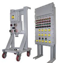 BXM(D)系列防爆照明(动力)配电箱(ⅡB、ⅡC)(钢质)